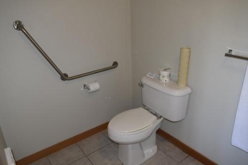 a bathroom with a toilet and a roll of toilet paper at Harbour House Hotel in Ganges