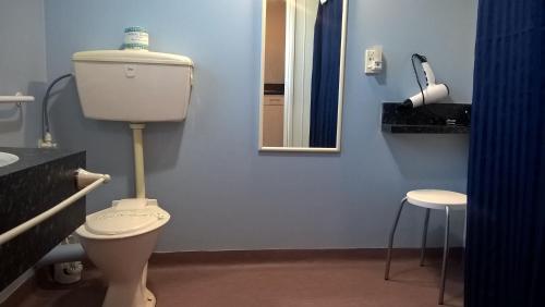 a bathroom with a toilet and a sink and a mirror at Mt Dobson Motel in Kimbell