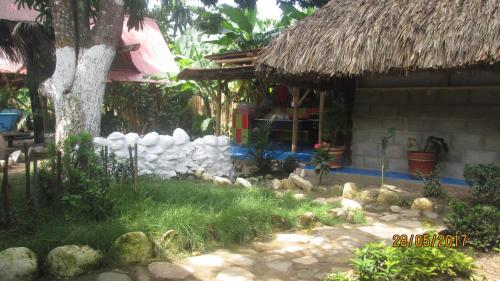 Un jardín fuera de Hostel Cattleya