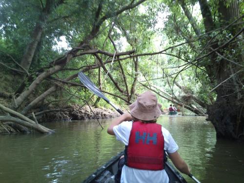 a person in a canoe on a river at Route 2 Torrão in Torrão