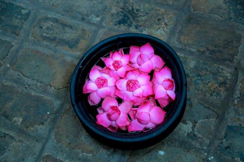 a black bucket filled with pink flowers on a brick floor at Rockwell Colombo in Colombo