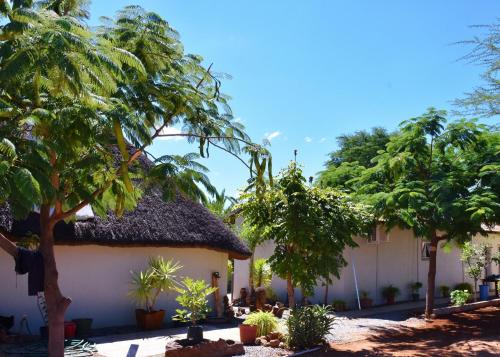 a building with a thatched roof and some trees at Kamaku Guesthouse cc in Otjiwarongo