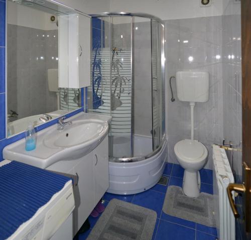a bathroom with a sink and a shower and a toilet at Meri Apartment in Rijeka