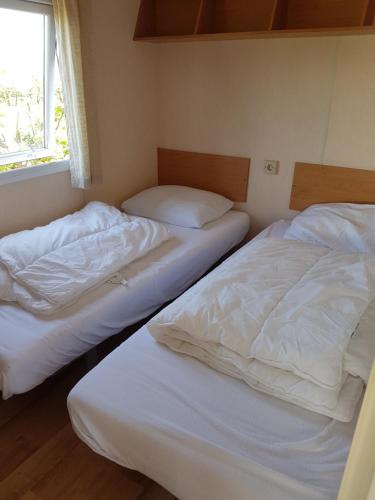 two twin beds in a room with a window at Leeuwendamme in Serooskerke