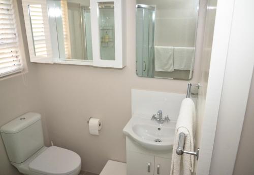 a bathroom with a toilet and a sink and a mirror at The Winelands Guest House in Bellville