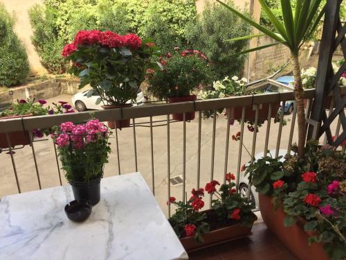 a balcony with flowers in pots on a fence at Albergo Cinzia in Florence