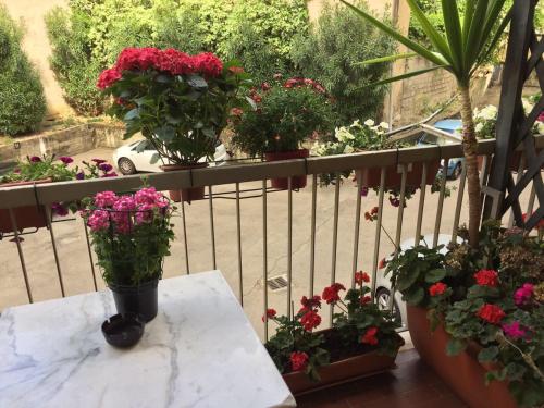 Zahrada ubytování Albergo Cinzia