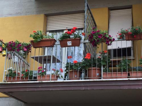 a balcony with potted plants on a building at Albergo Cinzia in Florence