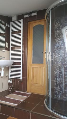 a bathroom with a shower and a wooden door at Balassi apartment -with green terrace&bike in Štúrovo