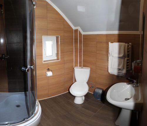 a bathroom with a toilet and a sink and a shower at Yeva in Mykulychyn
