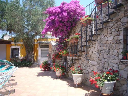 a stone wall with flowers and plants in pots at Villa Vacanze Paradiso - Oasi di Tranquillità con Piscina e Giardino a 10 min dal mare in Neviano