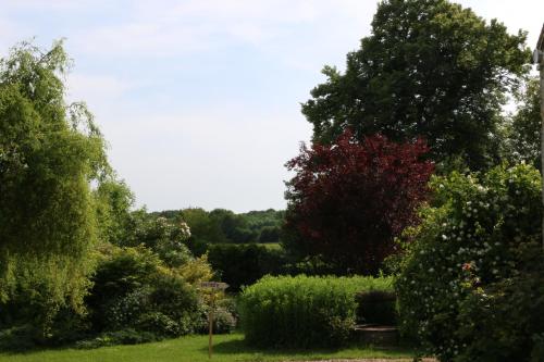 a garden with trees and bushes in a field at Le bourgis in La Chapelle-Montligeon
