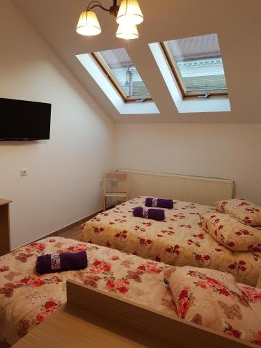 a bedroom with two beds and a tv and skylights at Casa Rezidentiala Aria in Cluj-Napoca