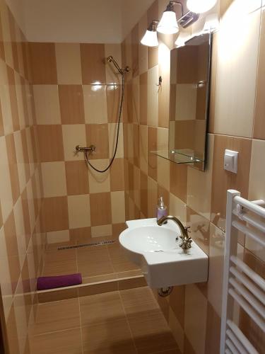 a bathroom with a sink and a shower at Casa Rezidentiala Aria in Cluj-Napoca