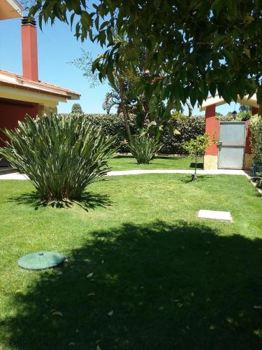 a yard with a tree and a house at Stella in Quartu SantʼElena