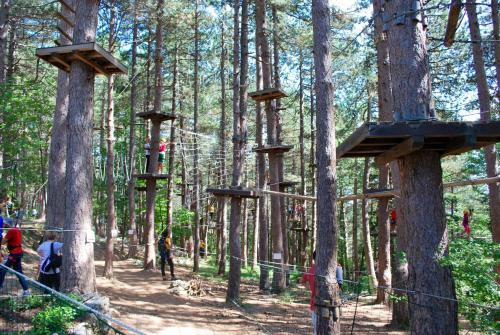 a forest with wooden trees with people walking through them at Stone House Ilovemajella in Pretoro