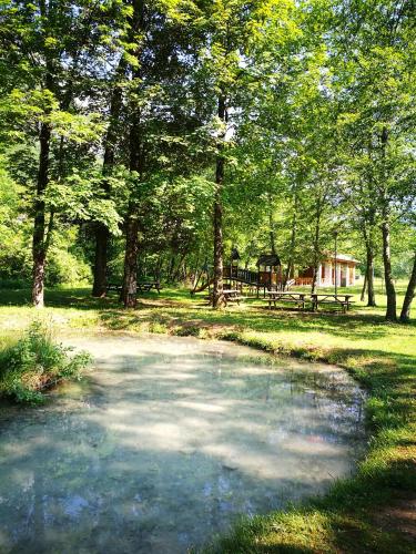 a pond in the middle of a park with trees at Ciasa Cimoliana in Cimolais