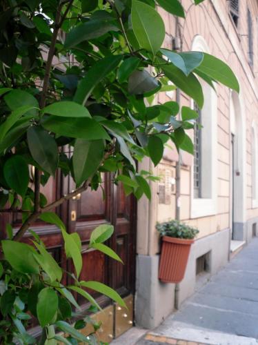 Hotel Castelfidardo