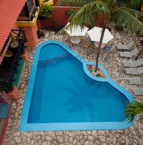an overhead view of a blue swimming pool with a palm tree at Hacienda Maria Bonita Hotel in Playa del Carmen