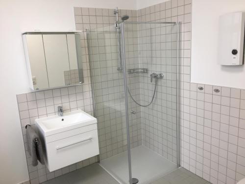 W łazience znajduje się prysznic, umywalka i lustro. w obiekcie BusinessInn.de Aparthotel Bremerhaven w mieście Bremerhaven