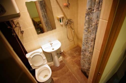 ウラジオストクにあるホテル ナ カリニナの小さなバスルーム(トイレ、シンク付)