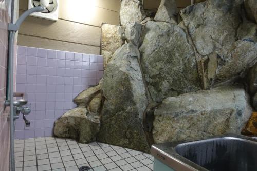 a bathroom with a rock wall and a sink at Guest House Hamada-en in Tottori
