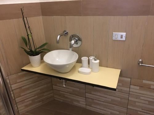 a bathroom with a sink and a plant on a counter at Affittacamere Dolci Notti in Budoni