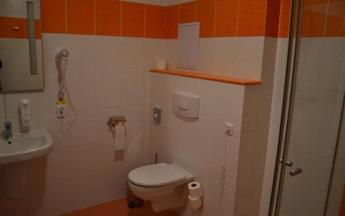 ein kleines Bad mit einem WC und einer Dusche in der Unterkunft Lipno-Apartmán Frymburk D110 in Frymburk