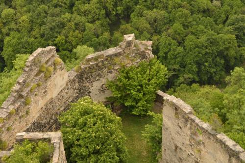 an old castle in the middle of a forest at Gasthof Speneder in Altpölla