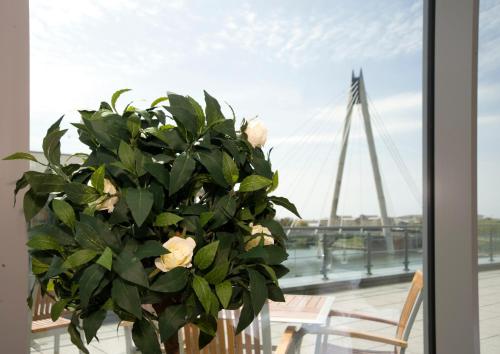 a plant sitting on a table next to a window at Waterfront Southport Hotel in Southport