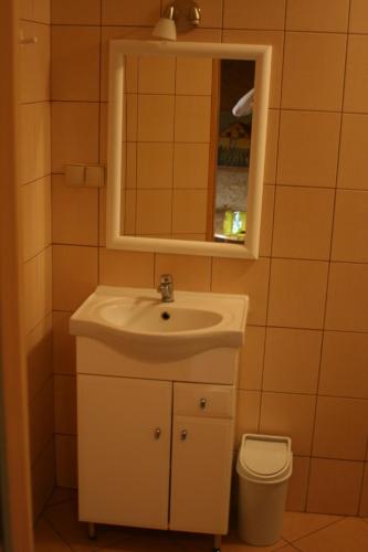 a bathroom with a sink and a mirror and a toilet at Zajazd Bonanza in Jędrzychowice
