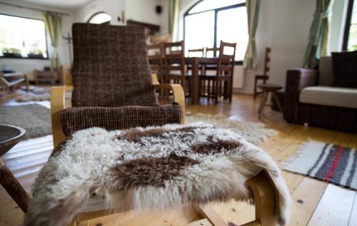 a living room with chairs and a rug on a table at Casa Mosului - Transfăgărășan Bed & Breakfast in Cîrţişoara