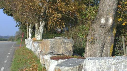 Fotografie z fotogalerie ubytování B&B Ströprodukter v destinaci Eslöv