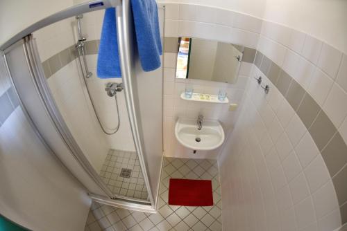 a small bathroom with a shower and a sink at Junges Hotel Tulln in Tulln