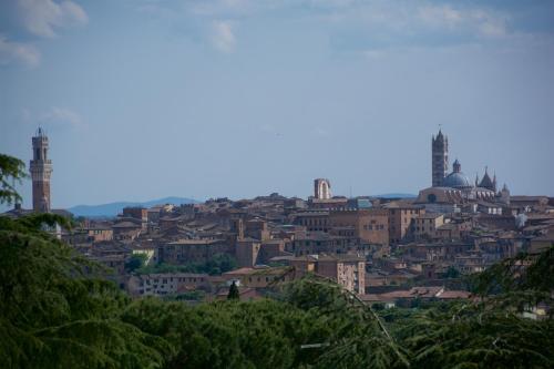 a cityscape of a city with buildings and mosques at Villa Scacciapensieri Boutique Hotel in Siena