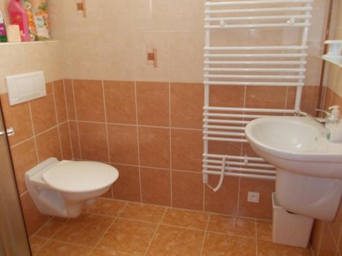 Ubytovani u Lysonku في كلينتنيس: حمام مع مرحاض ومغسلة