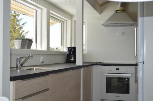 a kitchen with a sink and a window at Nordseter Fjellpark, Hyttegrend in Nordseter
