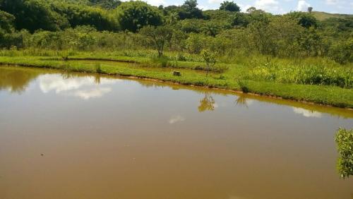 a body of water with trees and a field at Pousada Kart Clube in São João del Rei
