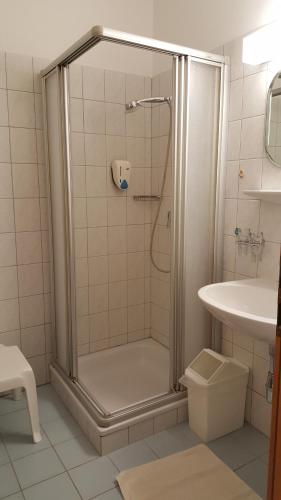 a bathroom with a shower and a sink at Hotel Geier in Bad Schönau