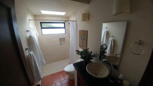 a bathroom with a shower and a toilet and a sink at Farallones de Sutatausa El Rincón in Sutatausa