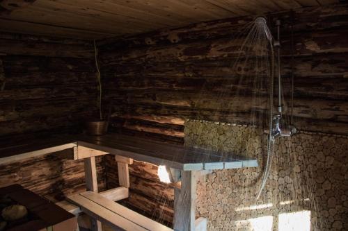 a shower in a room with a wooden wall at Kuusetuka Tourism Farm in Pähkla