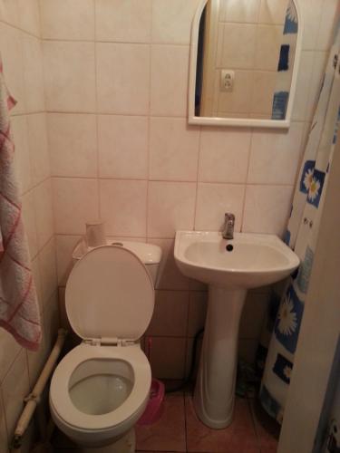 a bathroom with a toilet and a sink at Na Gorbochku in Podobovets