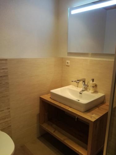 a bathroom with a sink and a mirror at Häus`l am Ruan in Berwang