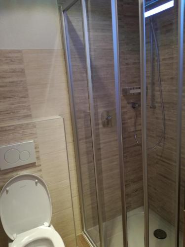 a bathroom with a toilet and a glass shower at Häus`l am Ruan in Berwang