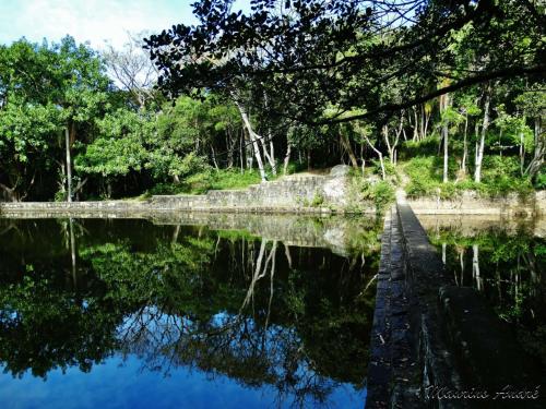 a body of water with trees and a dock at Silvestre Praia Hotel in Imbituba