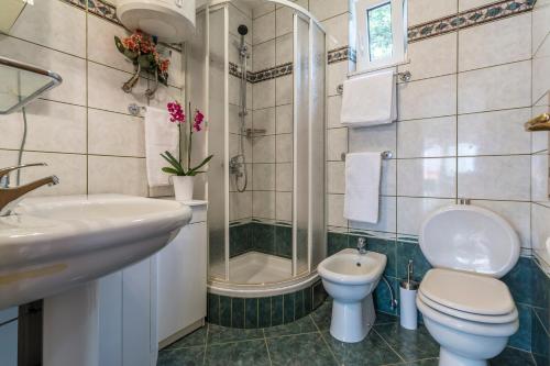 ein Bad mit einem WC, einem Waschbecken und einer Dusche in der Unterkunft Villa Fonte in Sevid
