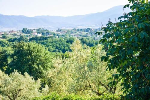a view of a forest of trees with mountains in the background at La Quiete in Anagni
