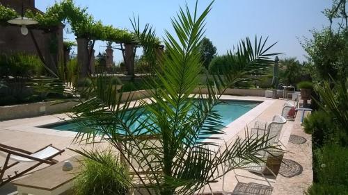 a palm tree in front of a swimming pool at B&B Posserle in Padenghe sul Garda