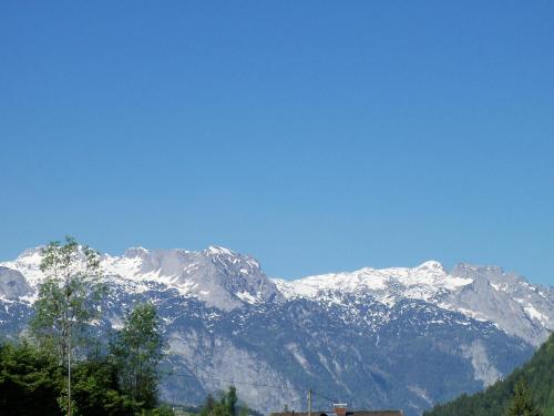 a snow covered mountain range with trees in the foreground at Haus Mary in Russbach am Pass Gschütt