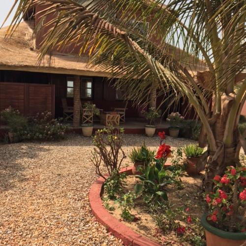 a garden with a palm tree and flowers in front of a house at la villa sur la plage in Palmarin